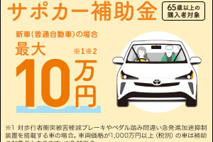 サポカー補助金
