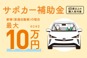 サポカー補助金