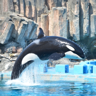 名古屋港水族館