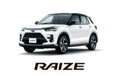 RAIZE