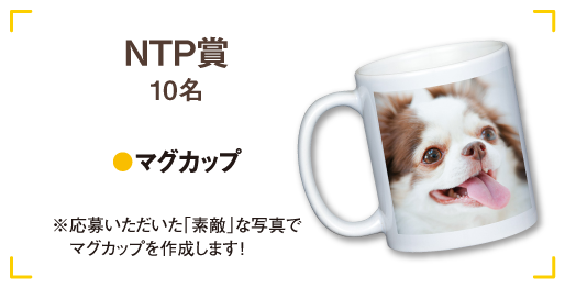 NTP賞10名 マグカップ※応募いただいた「素敵」な写真で
                　マグカップを作成します！
