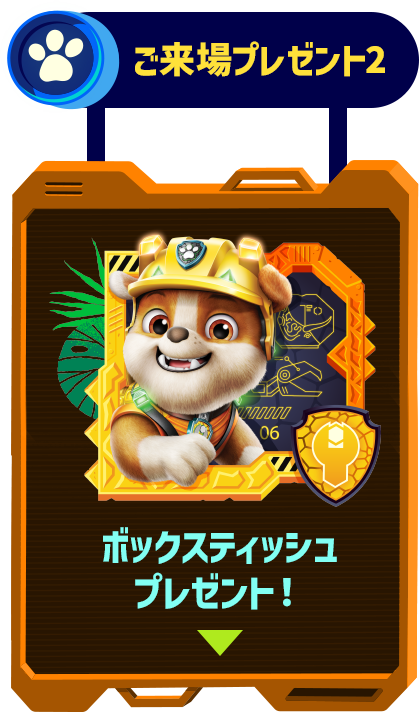 ご来場プレゼント2 ボックスティッシュプレゼント!