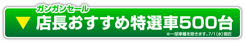 ガンガンセール 店長おすすめ特選車500